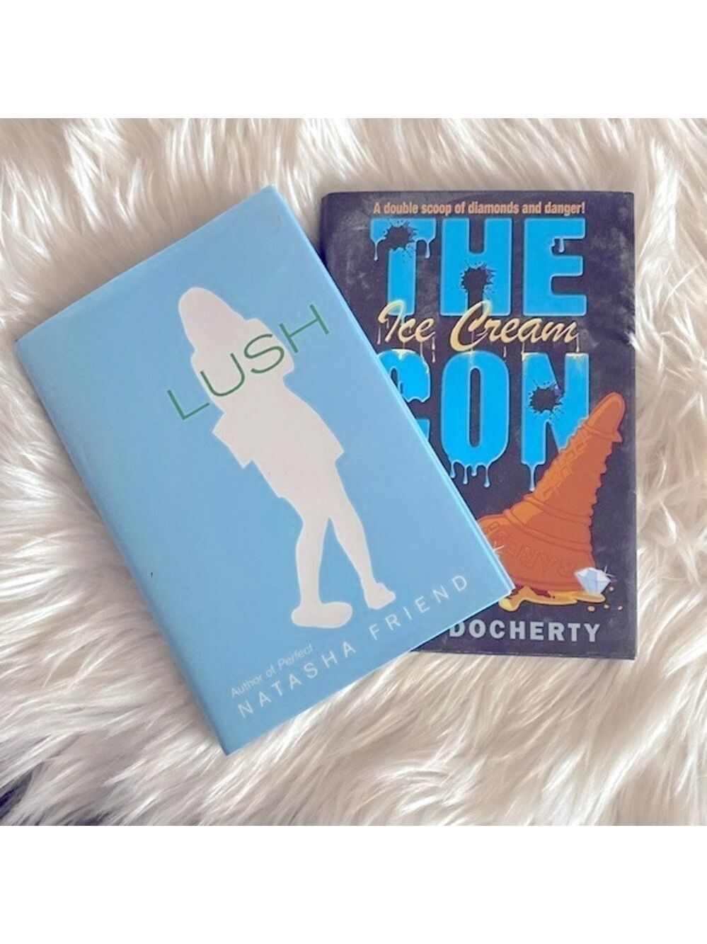Youth & young adult novel book bundle